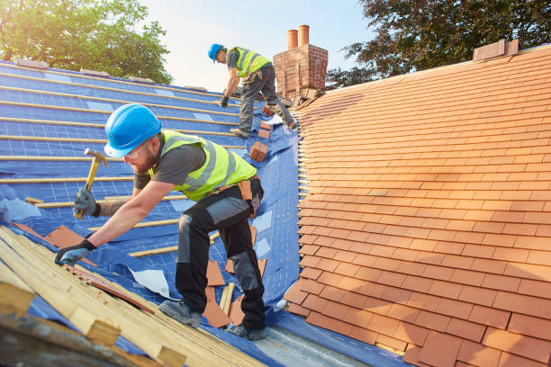 Best Metal Roofing Installation  in Ammon, ID